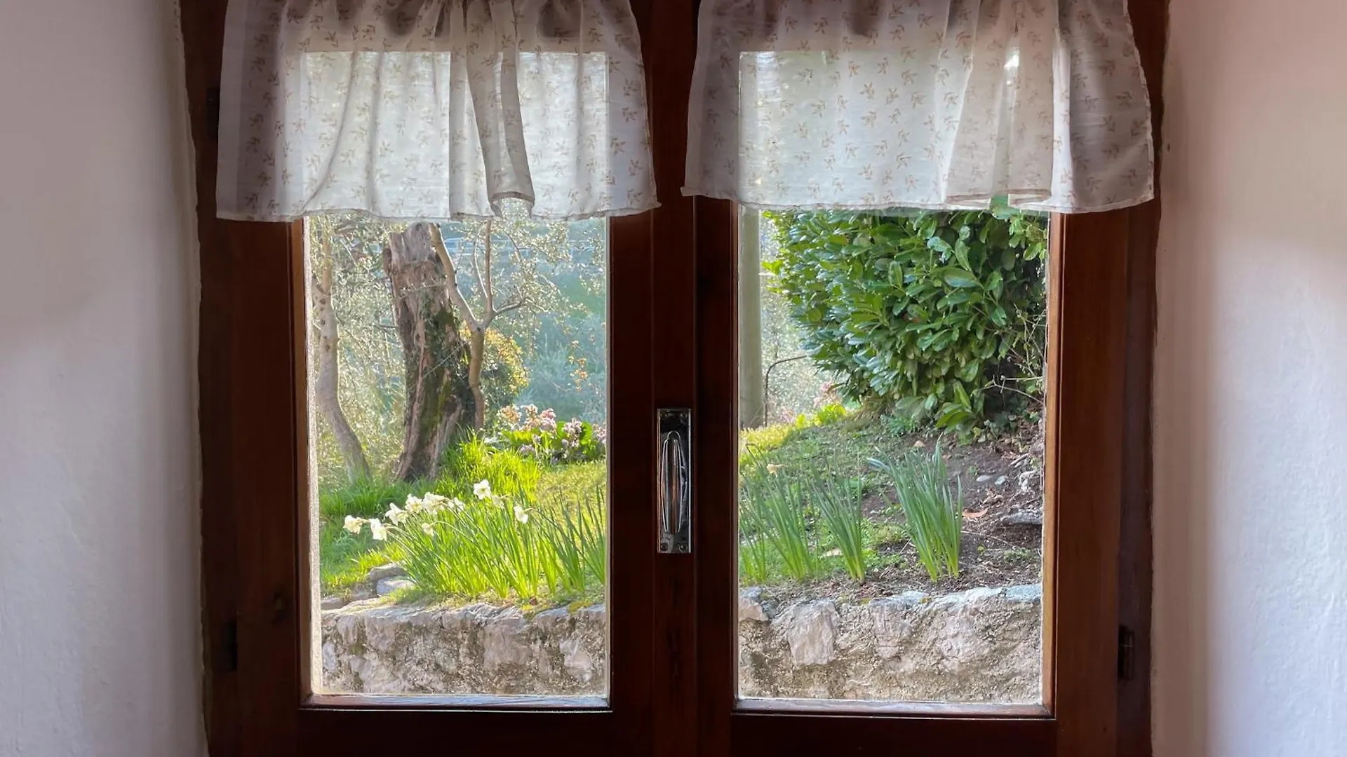 Breva Loft Tra Gli Ulivi Ed Il Lago Bellagio 0*,  Italy